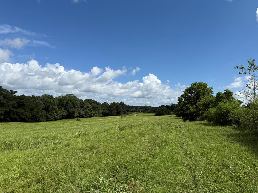 0 0 County Road 3316