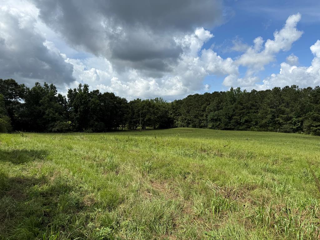 0 0 County Road 3316