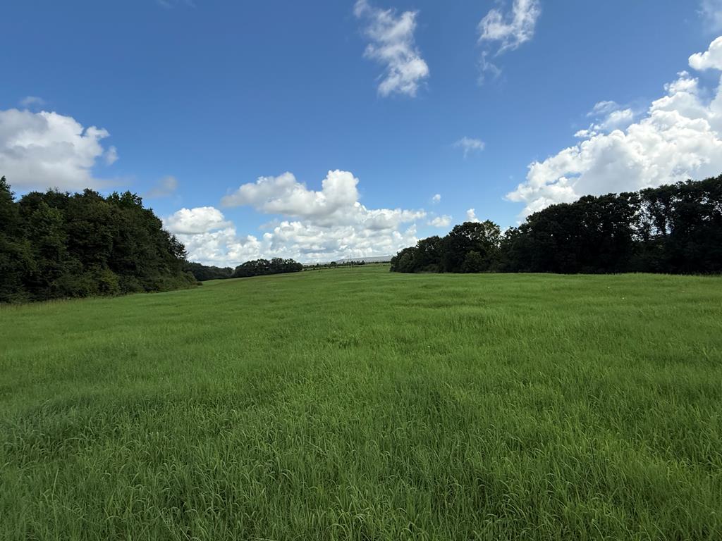 0 0 County Road 3316