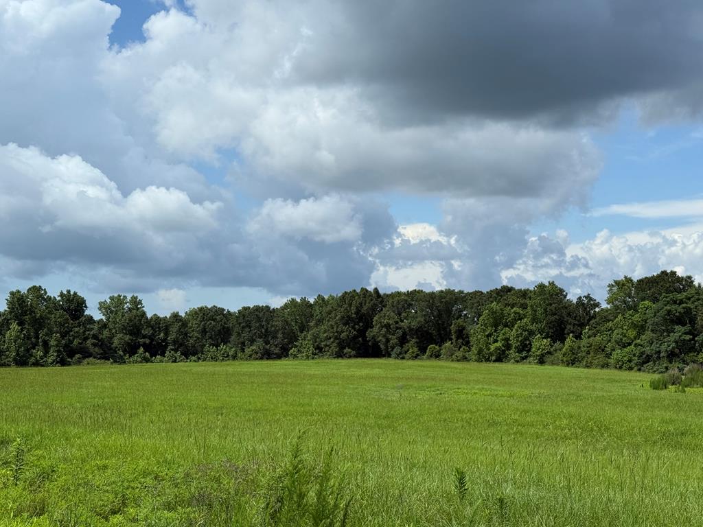 0 0 County Road 3316