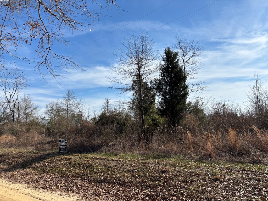 0 Parcel H County Road 2212