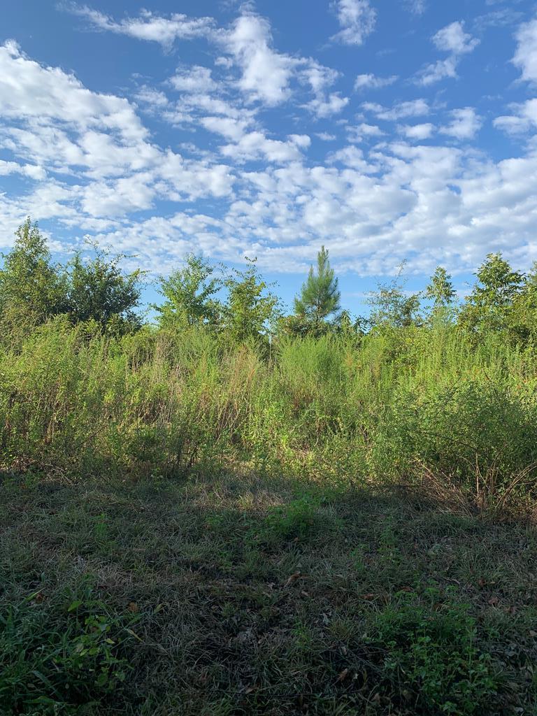 0 Parcel H County Road 2212