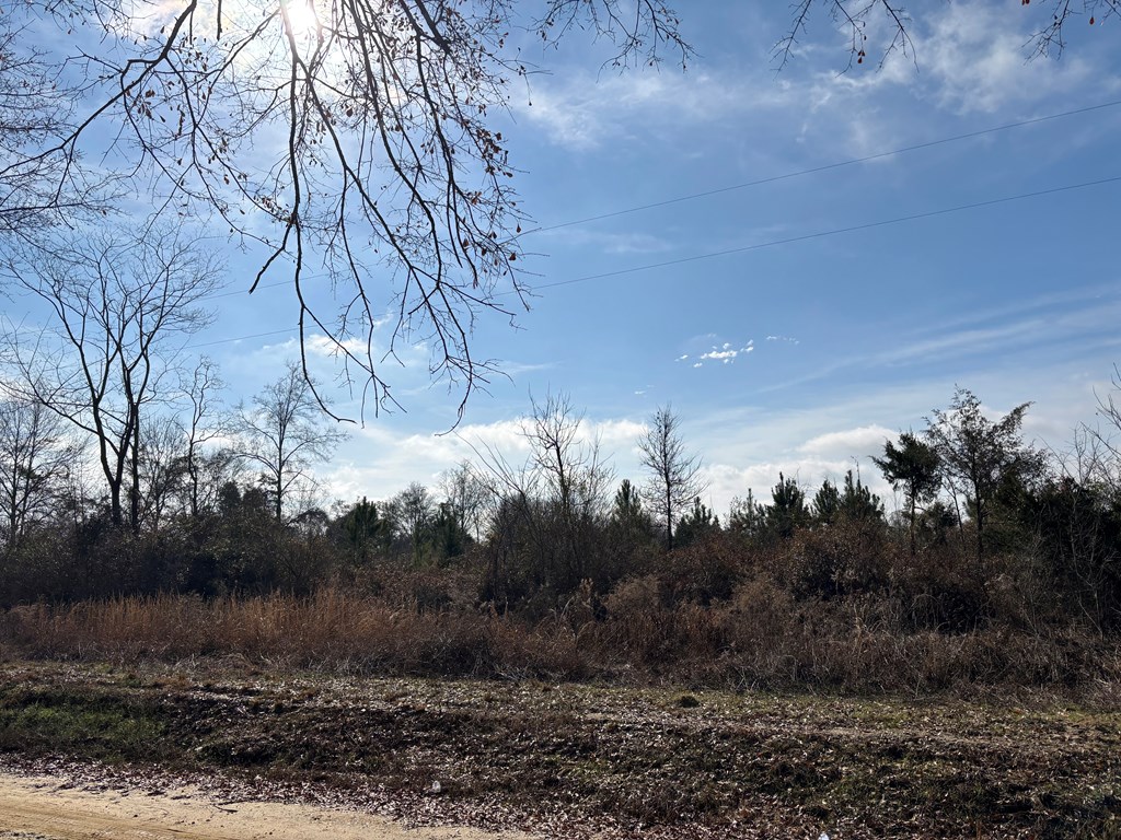 0 Parcel H County Road 2212