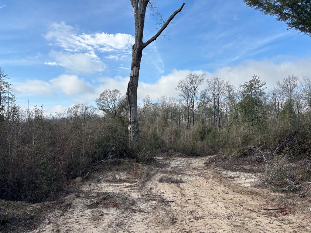 0 County Road 2212
