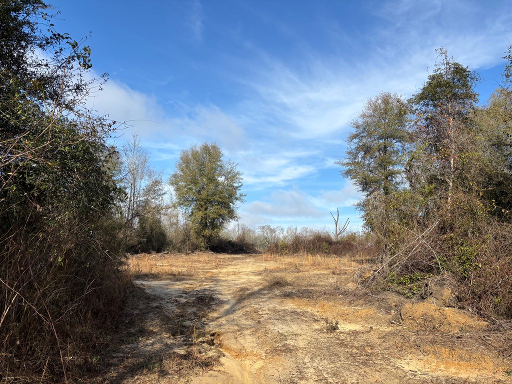 0 County Road 2212