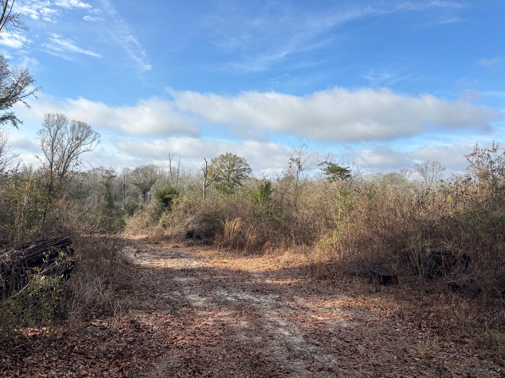 0 County Road 2212