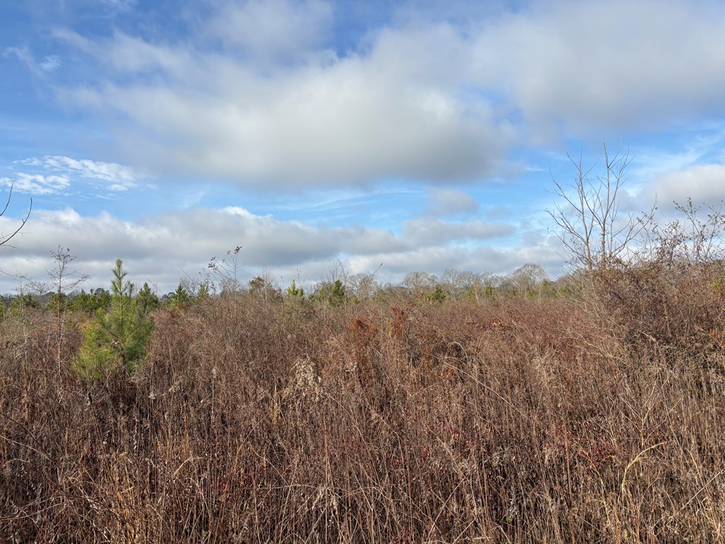 0 County Road 2214