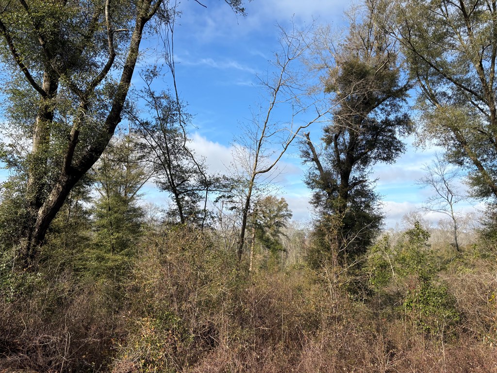 0 County Road 2214