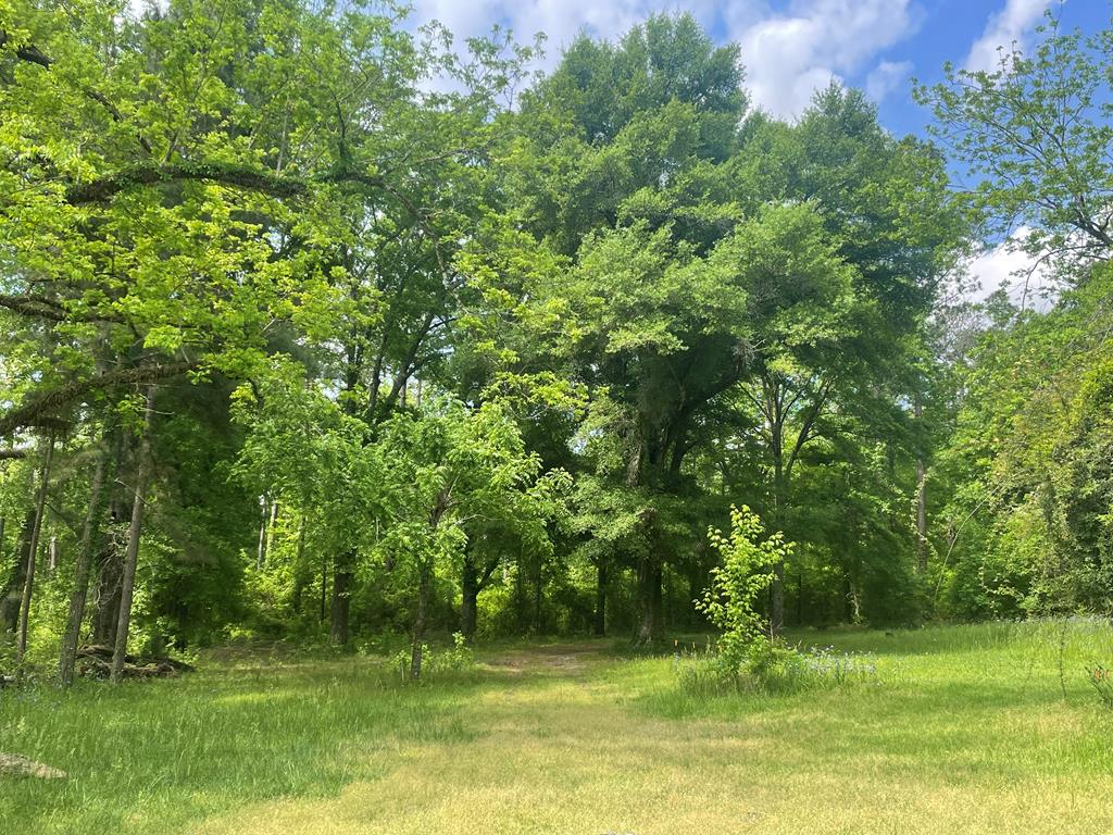 10326 County Road 14, .