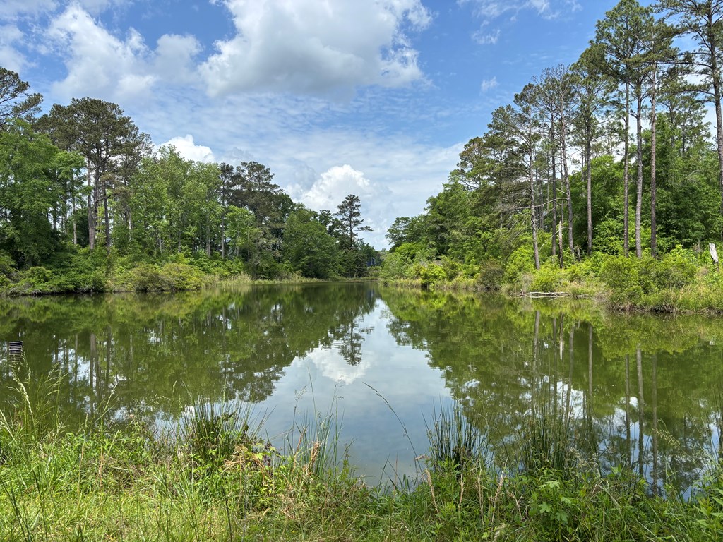 10326 County Road 14, .