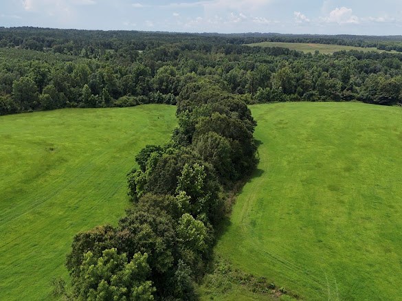 0 0 County Road 3316