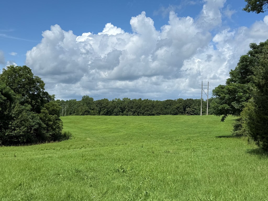 0 0 County Road 3316