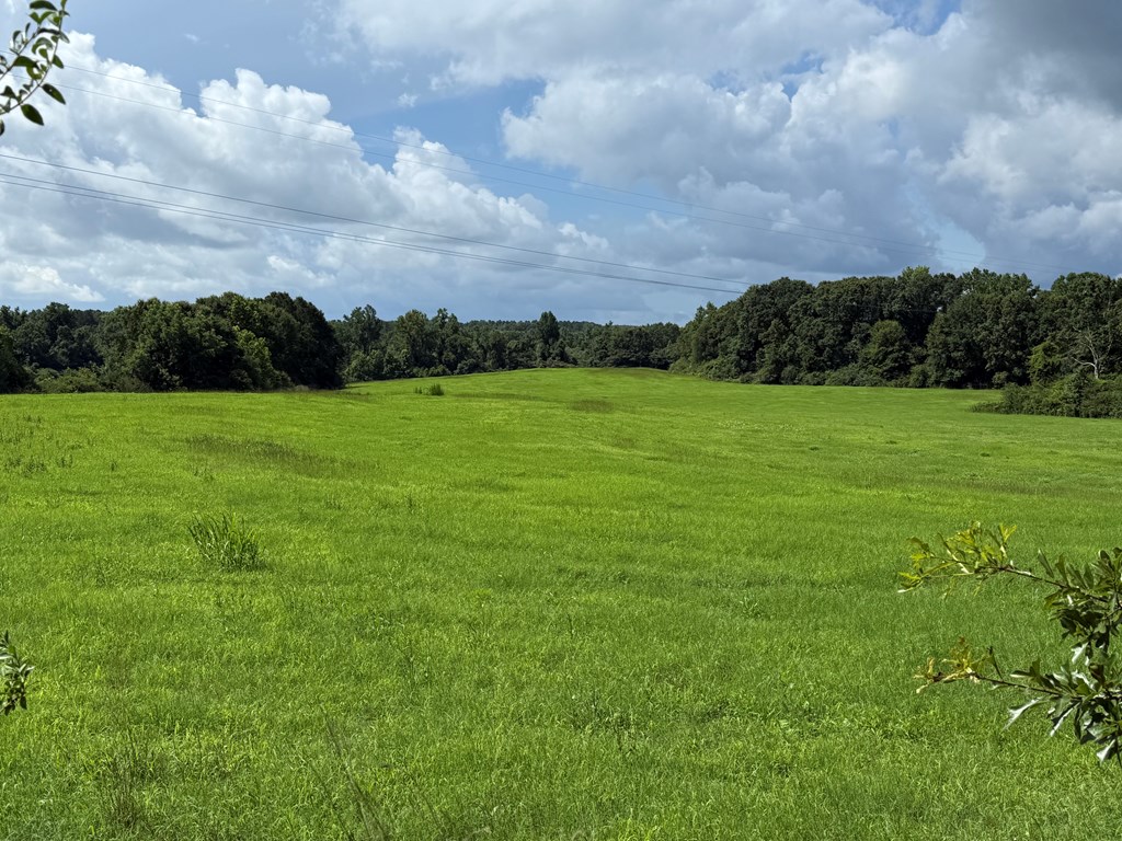 0 0 County Road 3316