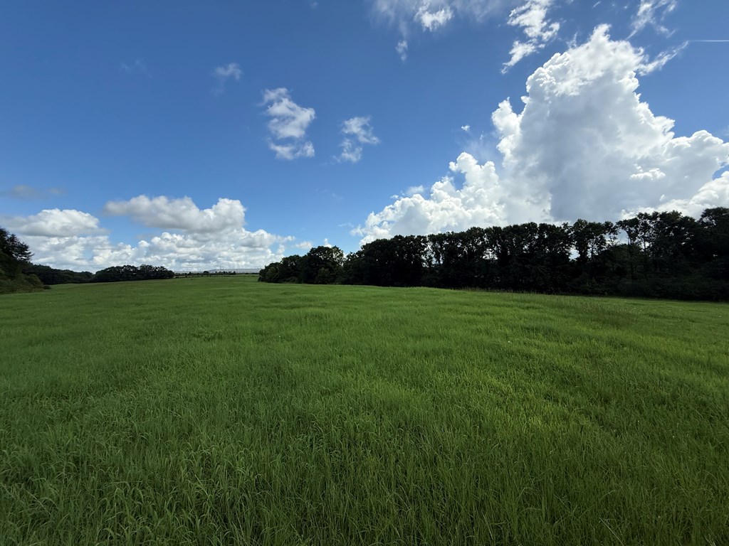 0 0 County Road 3316