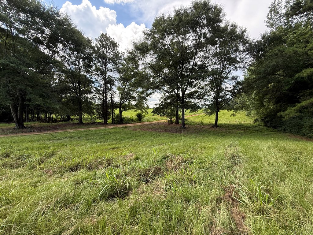 0 0 County Road 3316
