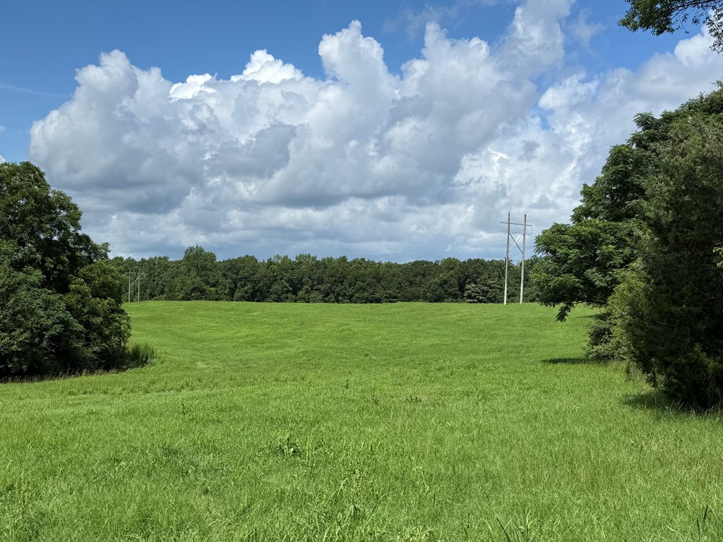 0 0 County Road 3316