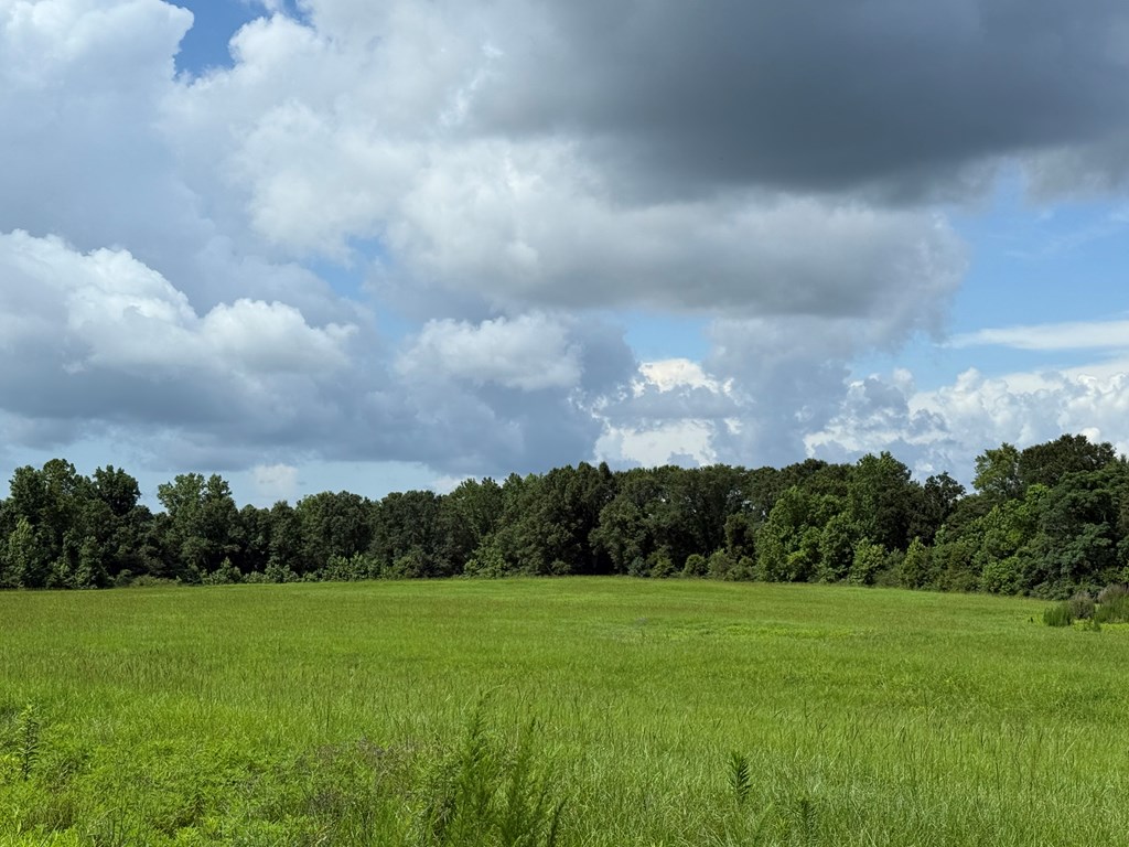 0 0 County Road 3316