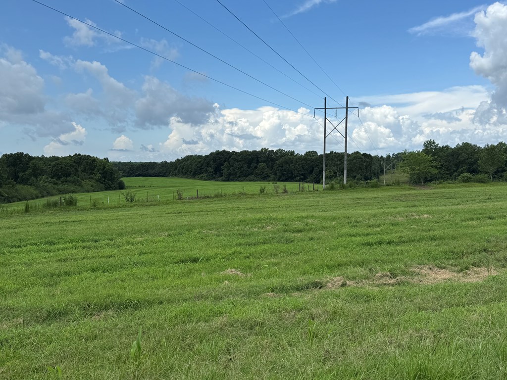 0 0 County Road 3316