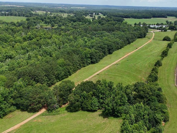 0 0 County Road 3316