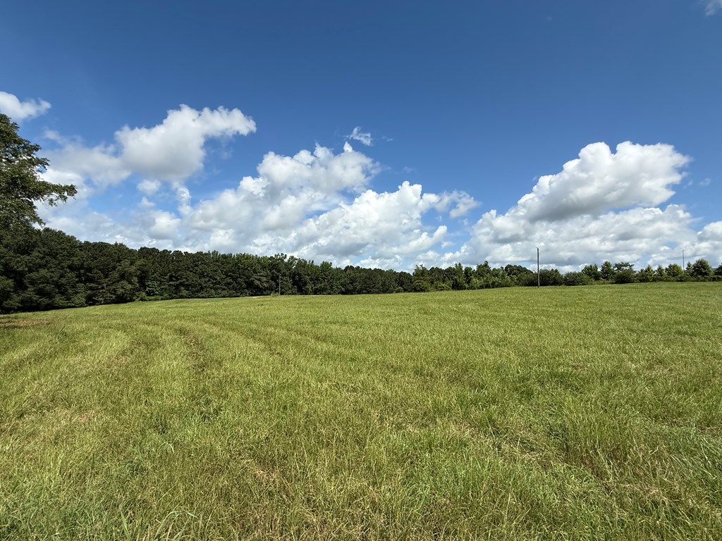 0 0 County Road 3316