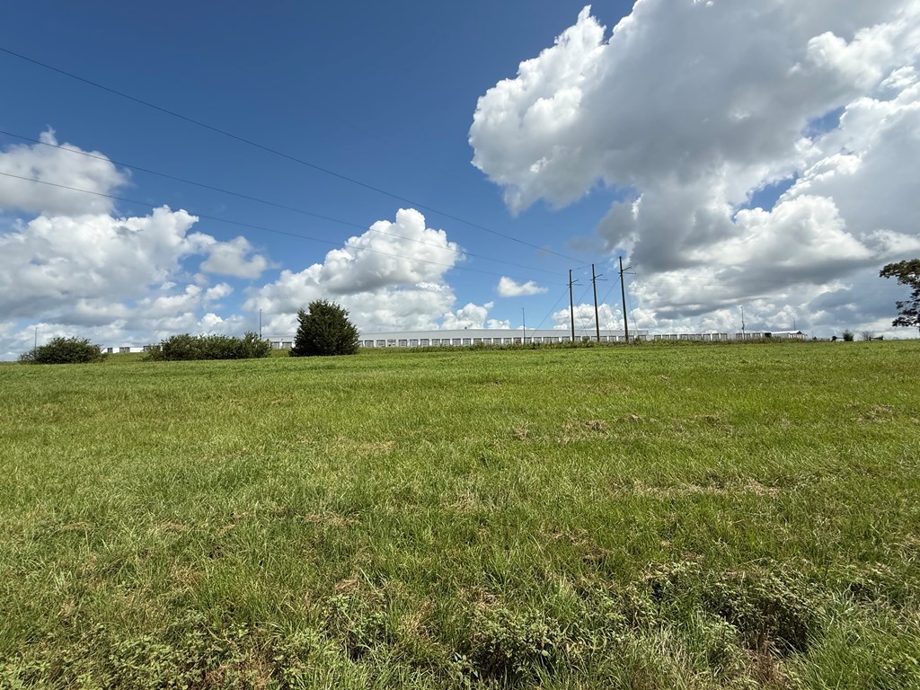 0 0 County Road 3316
