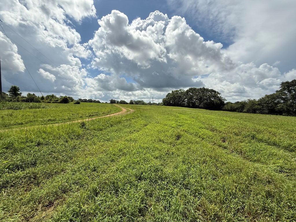 0 0 County Road 3316