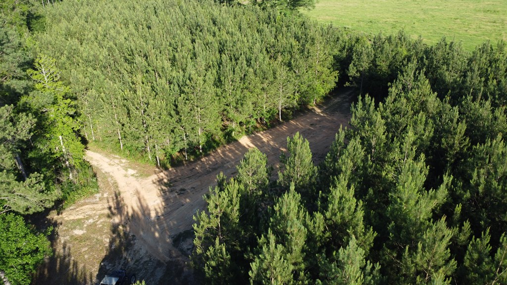 0 County Road 2201