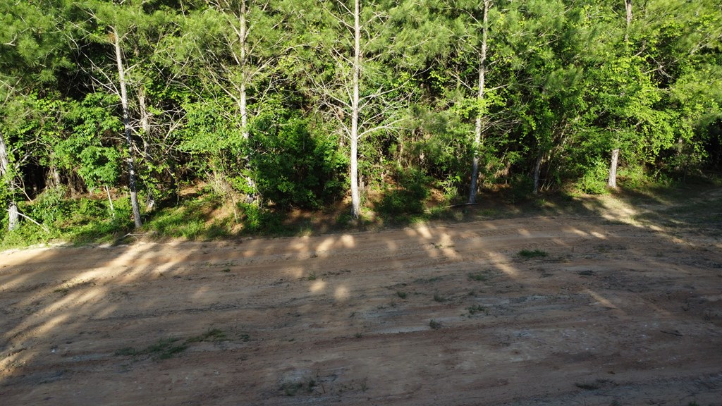 0 County Road 2201