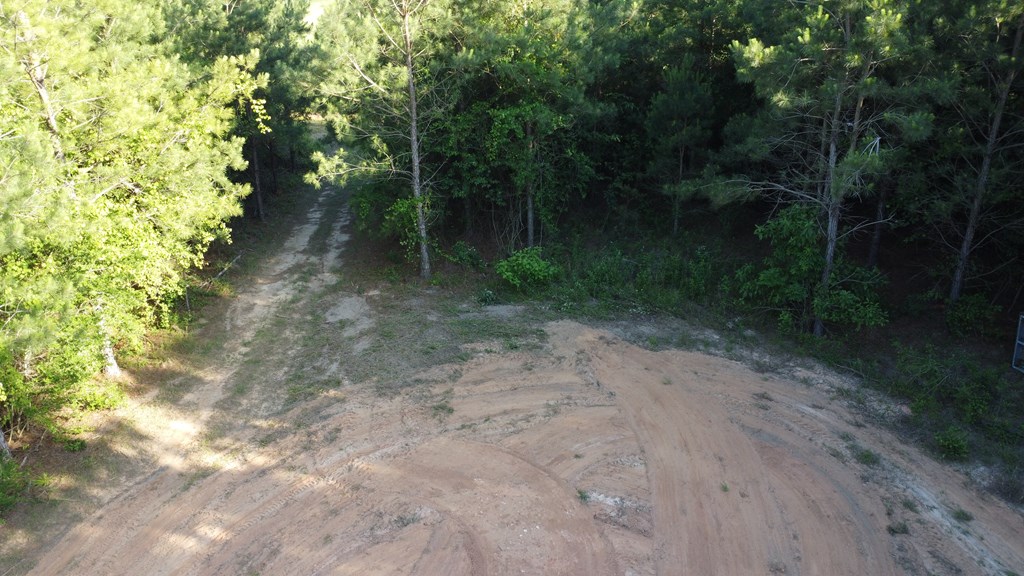 0 County Road 2201