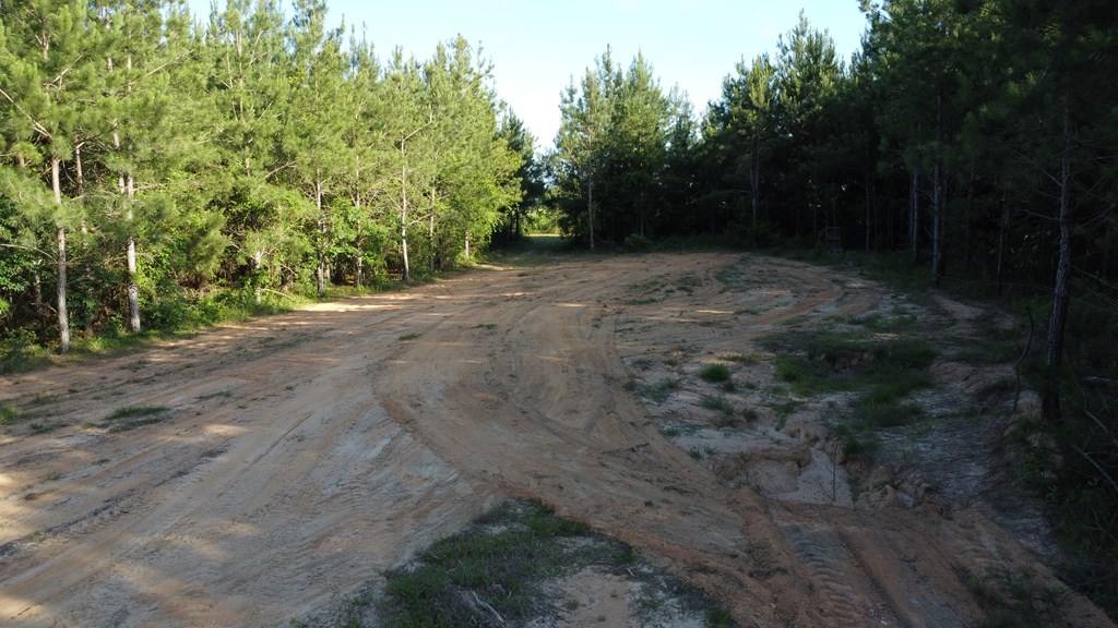 0 County Road 2201