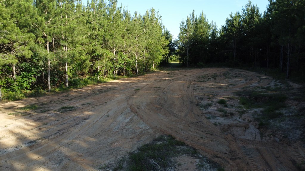 0 County Road 2201