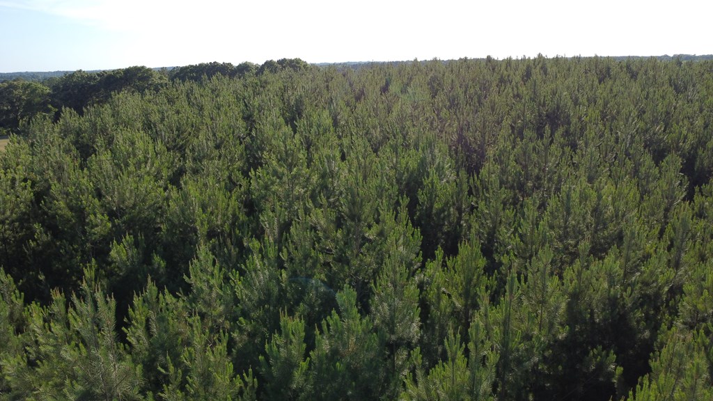 0 County Road 2201