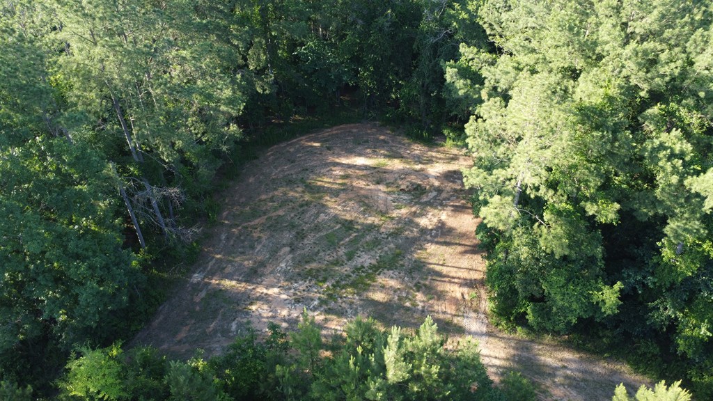 0 County Road 2201