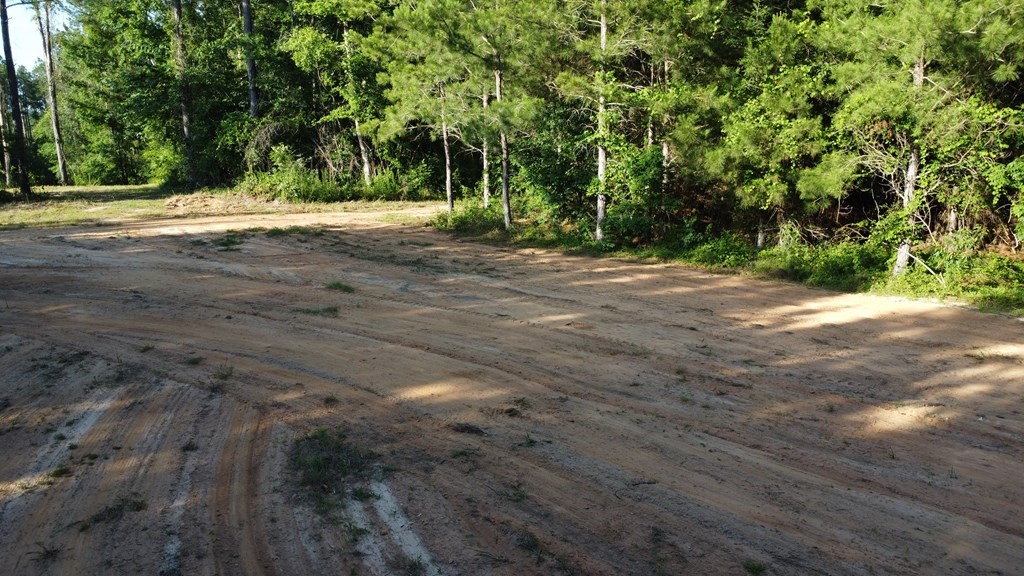 0 County Road 2201