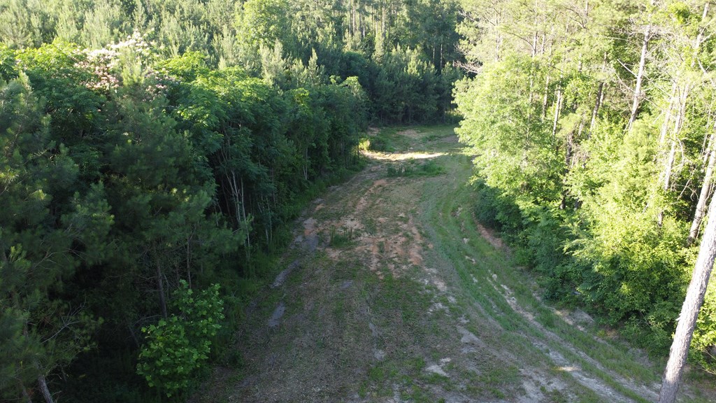 0 County Road 2201