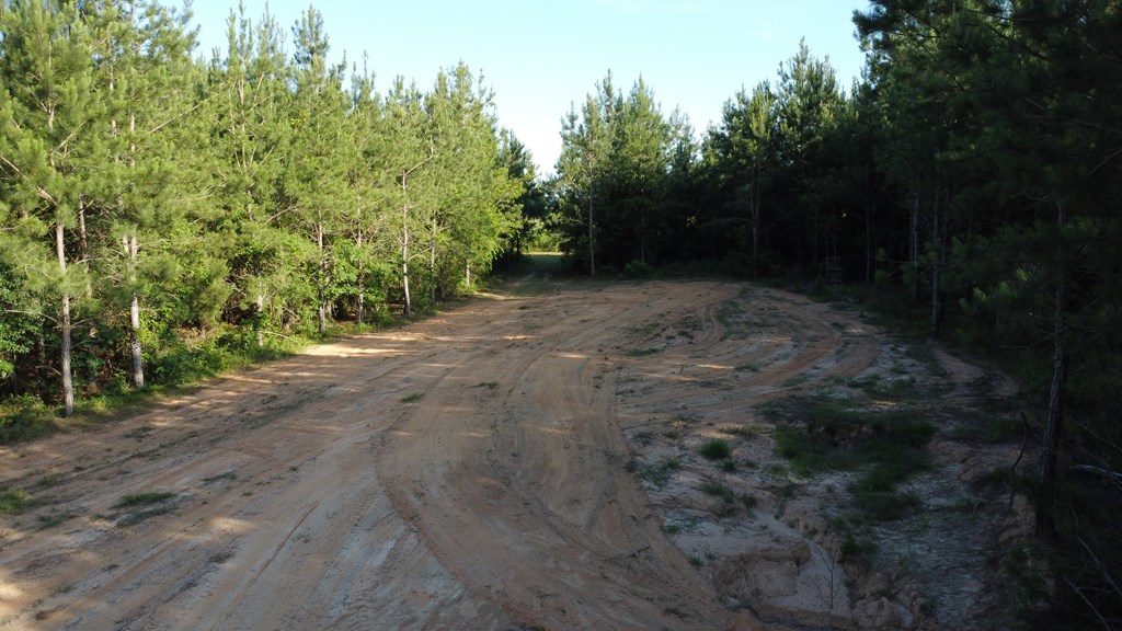 0 County Road 2201