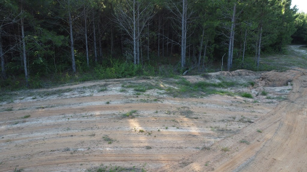 0 County Road 2201