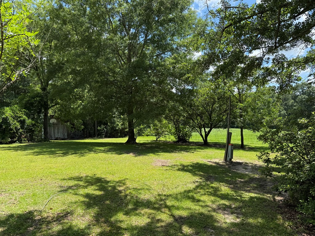 1268 County Road 2