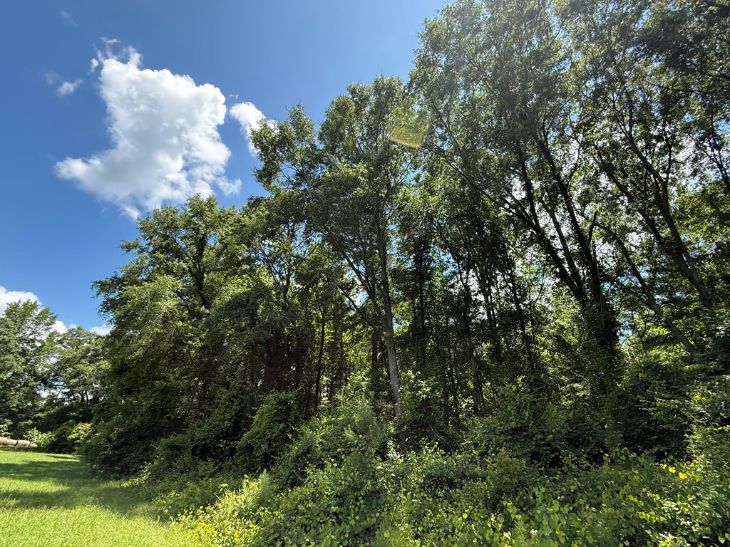 1268 County Road 2