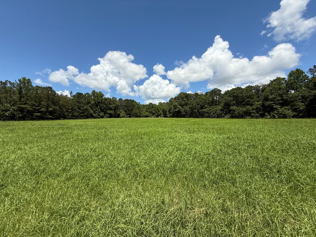 1268 County Road 2
