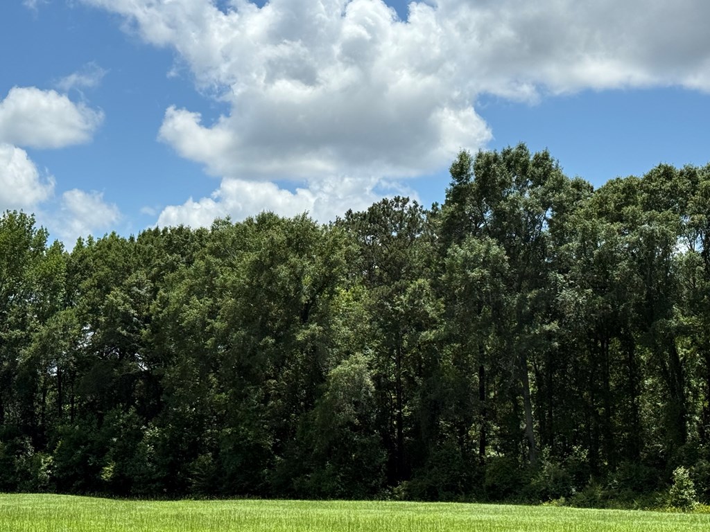 1268 County Road 2