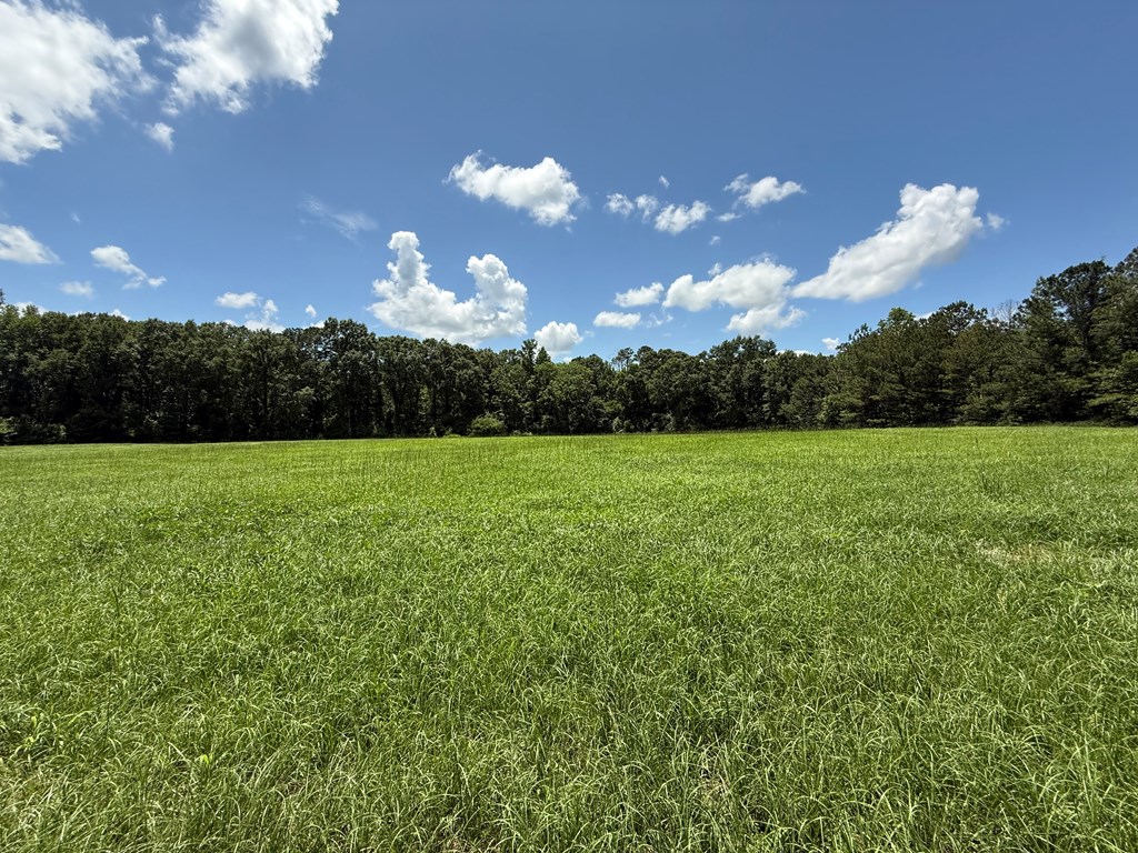 1268 County Road 2