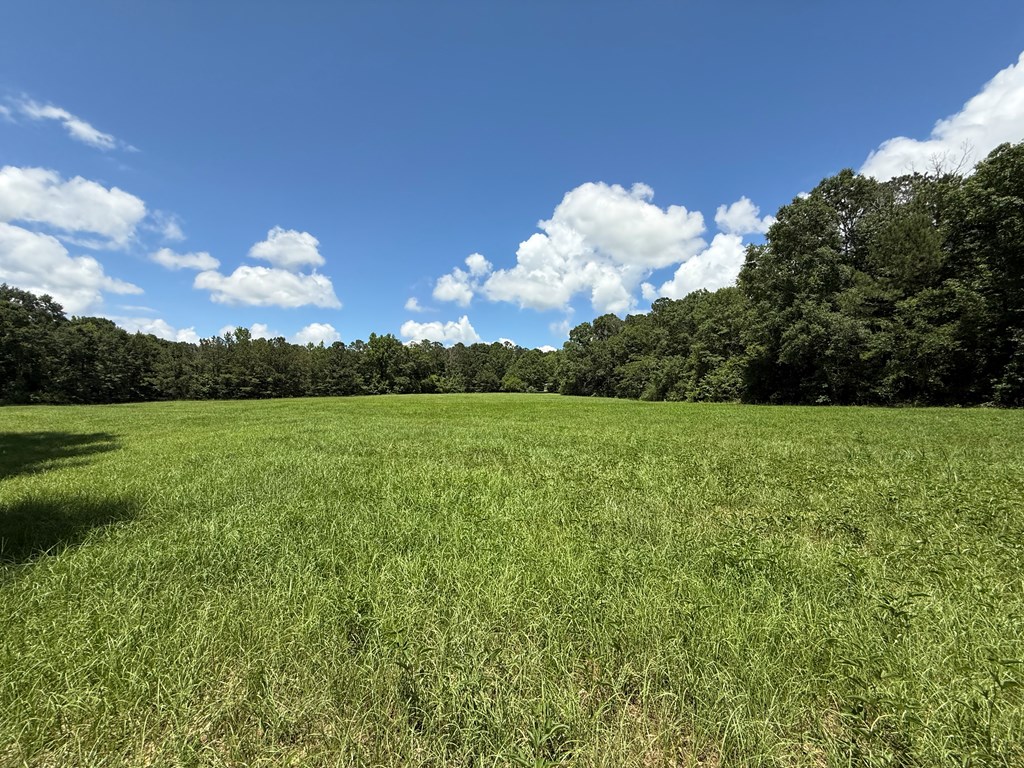1268 County Road 2