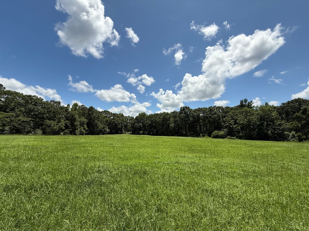 1268 County Road 2