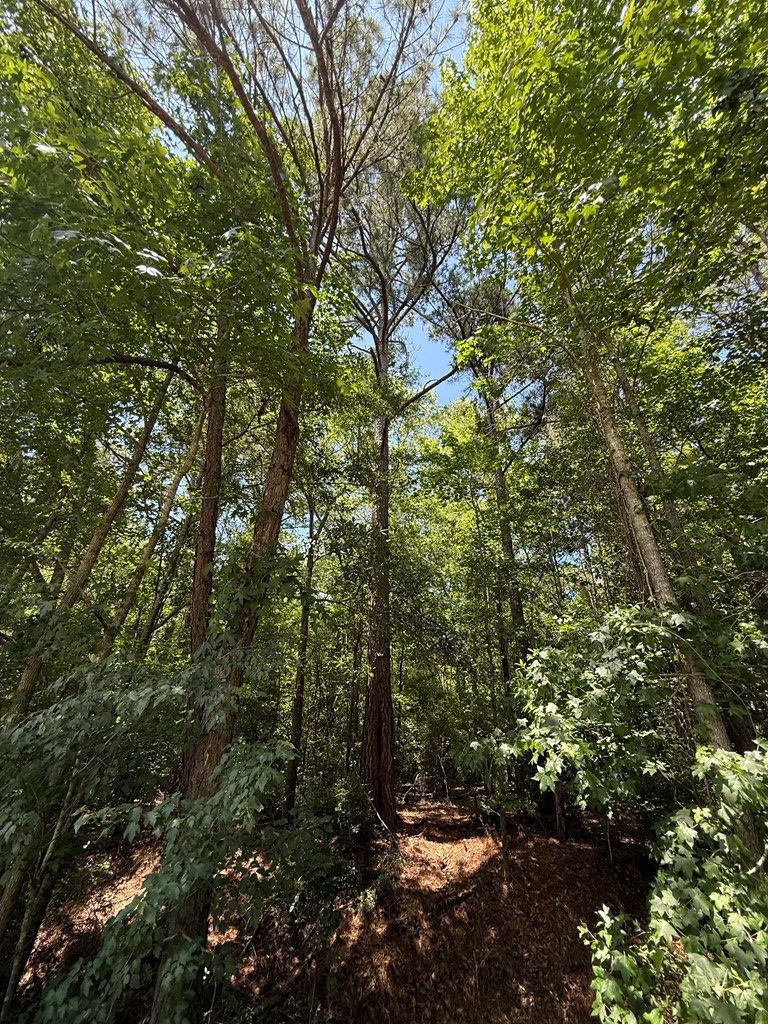 1268 County Road 2