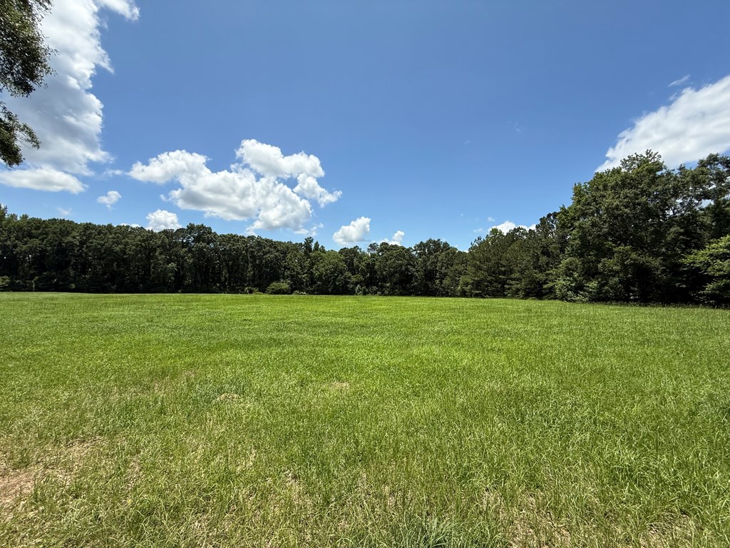 1268 County Road 2