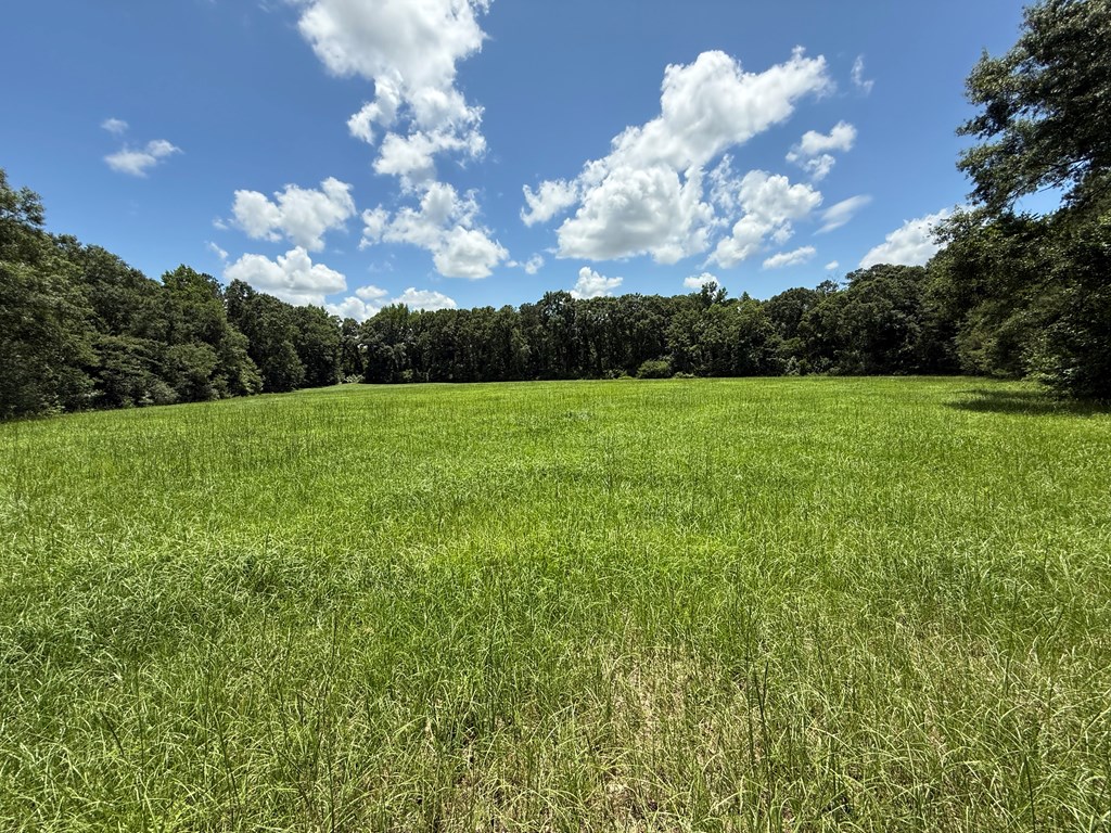1268 County Road 2