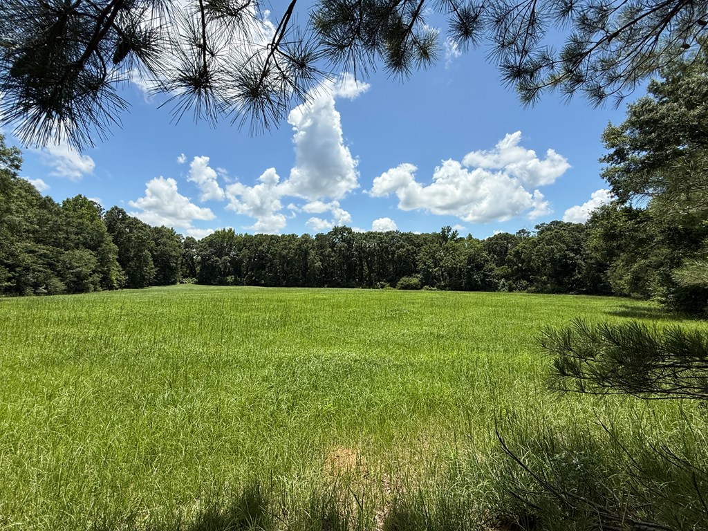1268 County Road 2