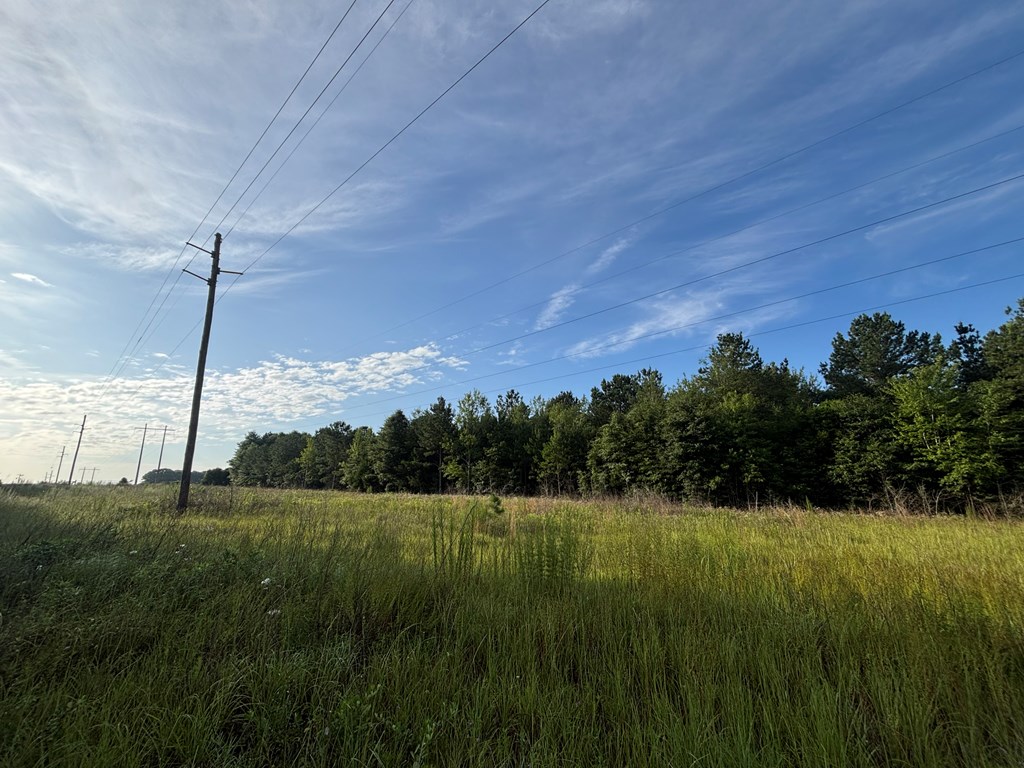 0 County Road 1