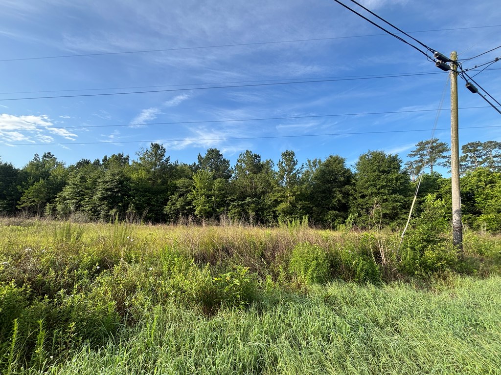 0 County Road 1